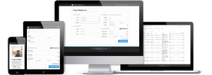 Custom Stripe Online Payments Integration